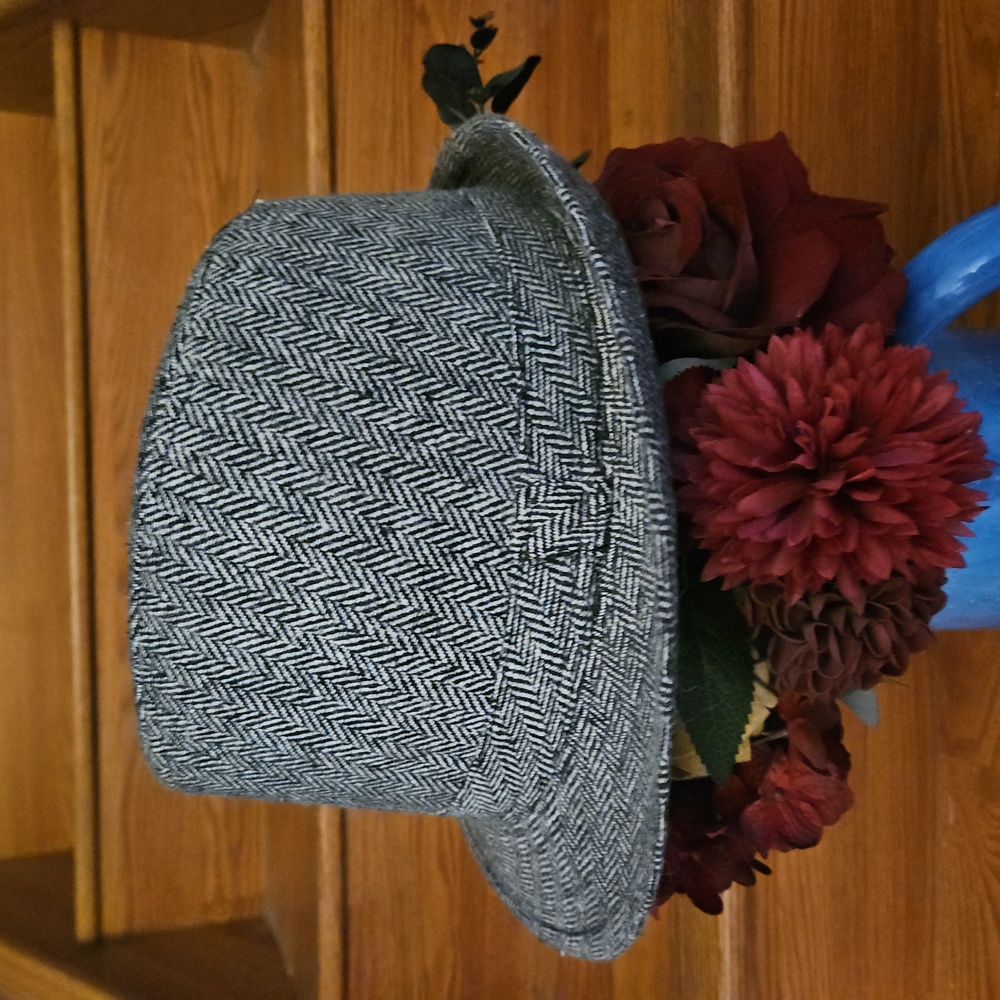 Fedora - Picture 2 of 5